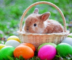 Easter Word