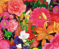 Flower