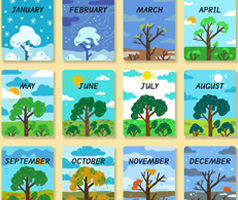 Month
