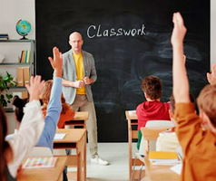 Visual Pathway Anatomy Wheel