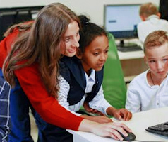 Limbic Rewards Anatomy