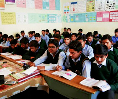 Limbic System Anatomy