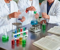 Major Art History Movements